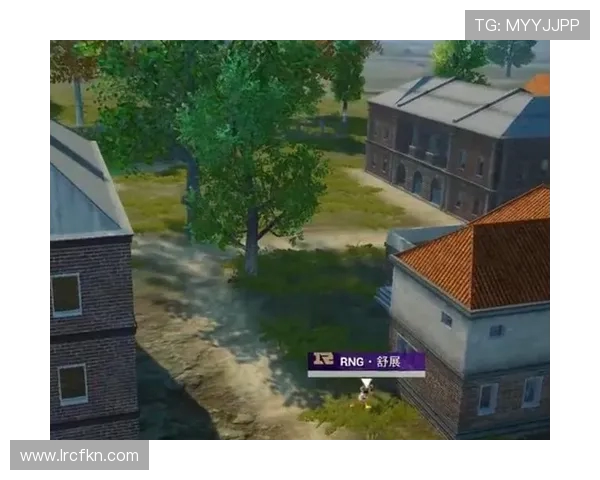 和平精英战术深度解析：RNG防反体系的运用与实战策略探讨